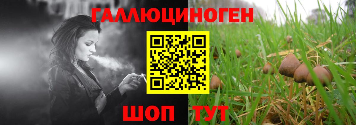 Псилоцибиновые грибы Psilocybine cubensis Вольск